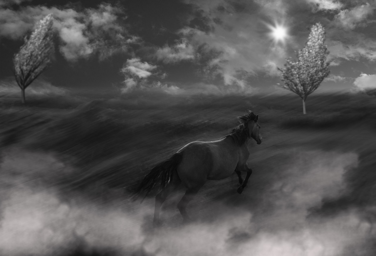 Horse - free online jigsaw puzzle photo