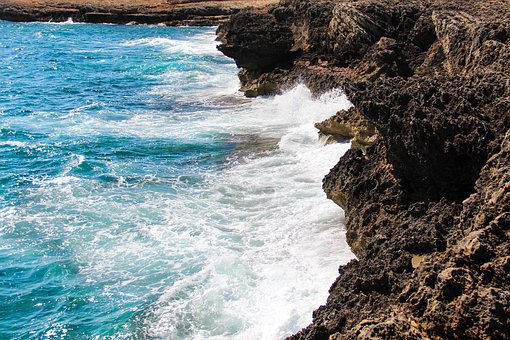 Free Water Coast photo and picture
