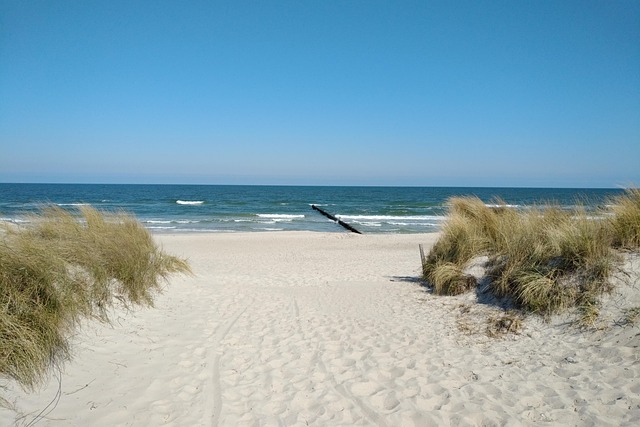 Free Beach Baltic Sea photo and picture