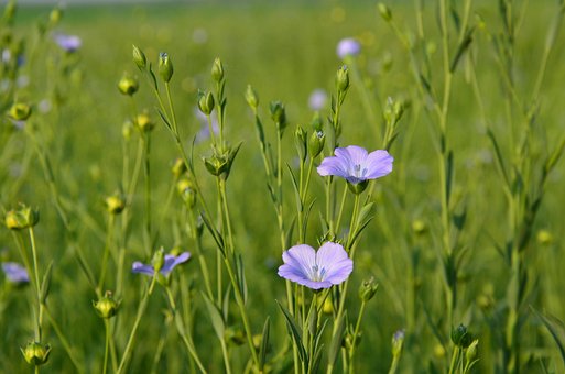 Купить школьные товары в интернет магазине WildBerries.ru