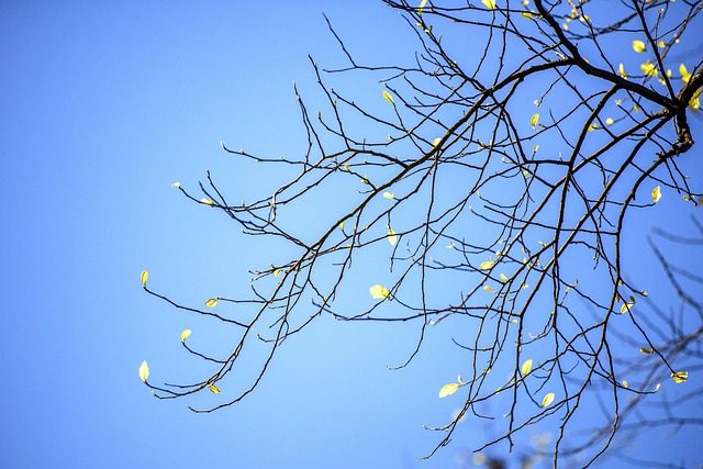 Free Beautiful Beauty photo and picture