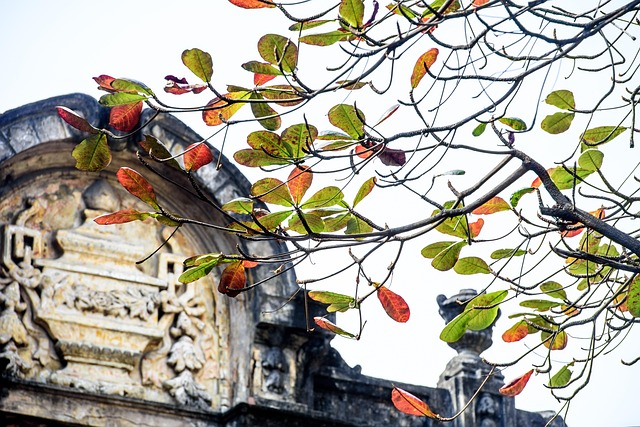 Free Hanoi Vietnam photo and picture