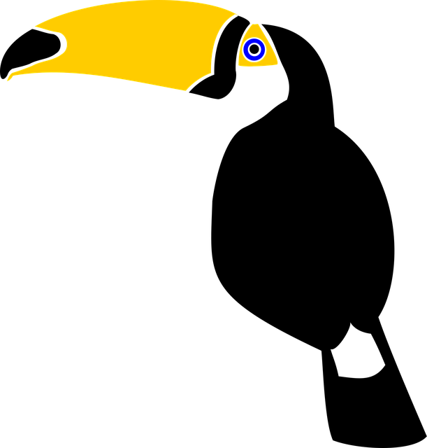 Free Toucan Bird vector and picture