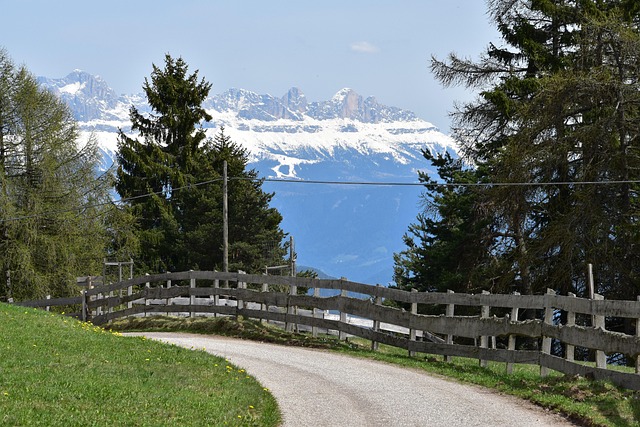 Free Dolomites Hiking photo and picture