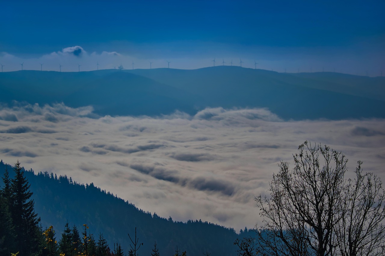 Fog Blanket Scenic Disc Free photo on Pixabay Pixabay