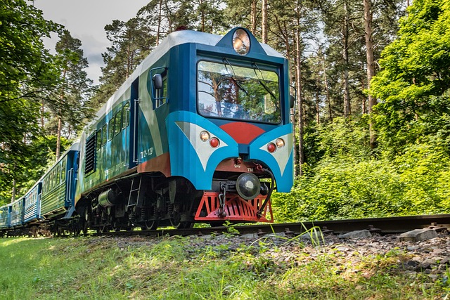 Lokomotive, Waggons, Zug, Schmalspurbahn