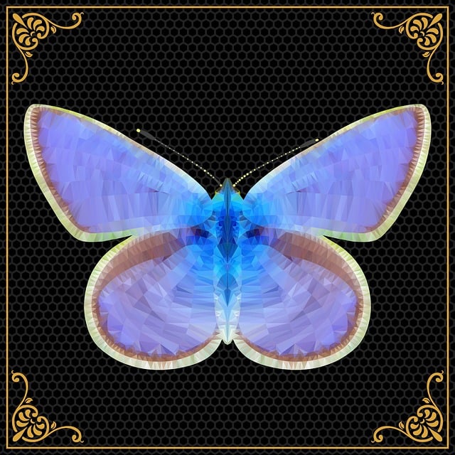 My Image 29