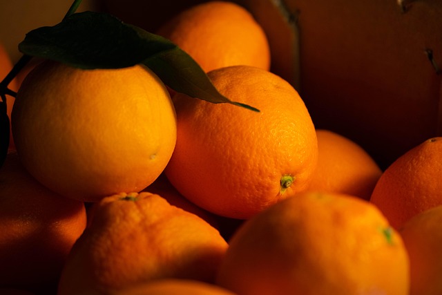 Free Orange Fruit photo and picture