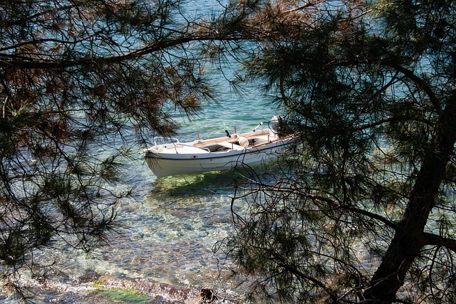 Free Sea Fishing Boat photo and picture