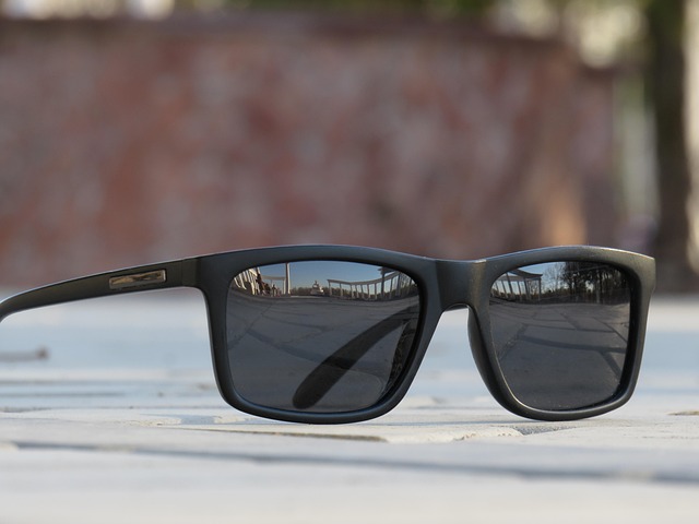 Free Glasses Paving Stone photo and picture