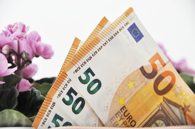 Free Euros Cash photo and picture