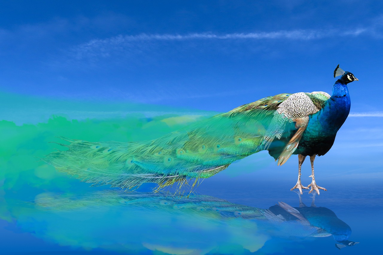 animal-world-4183374_1280.jpg