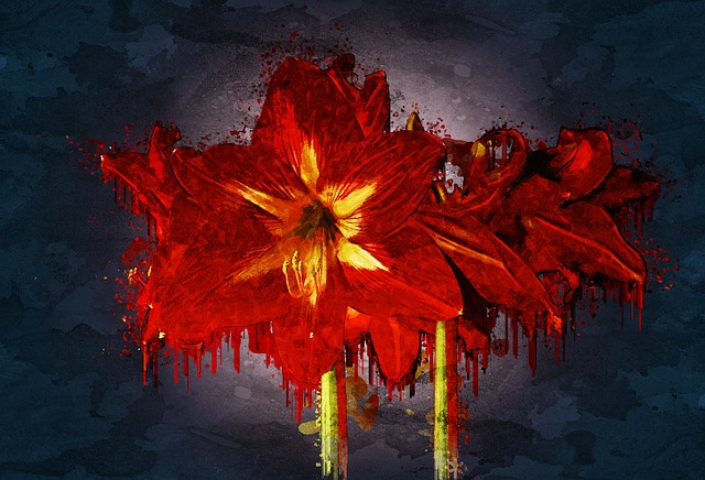 Free amaryllis flower blossom illustration