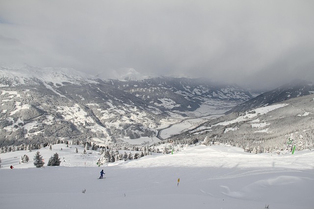 Free Winter Snow photo and picture