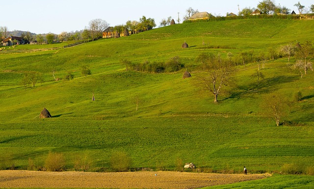 Free Plains Land photo and picture