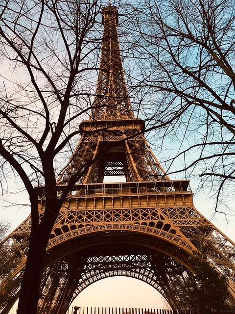 Free Paris Eiffel photo and picture