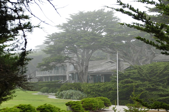 Hus, Drikke, Monterey, Spanish Bay