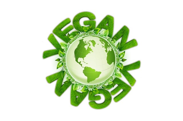 Download free HD stock image of Vegan Nature Free vegan nature globe illustration
