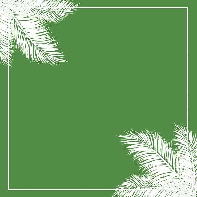 Tropisch, Natur, Grün, Blätter