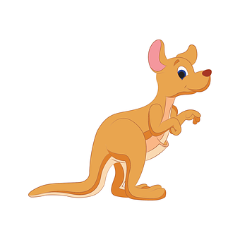 Kenguru, Dyr, Australia, Pungdyr, Vill