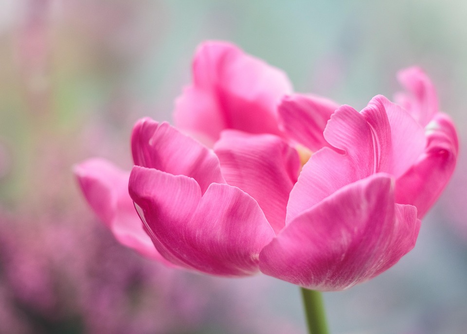 都市激情校园春色菲菲干