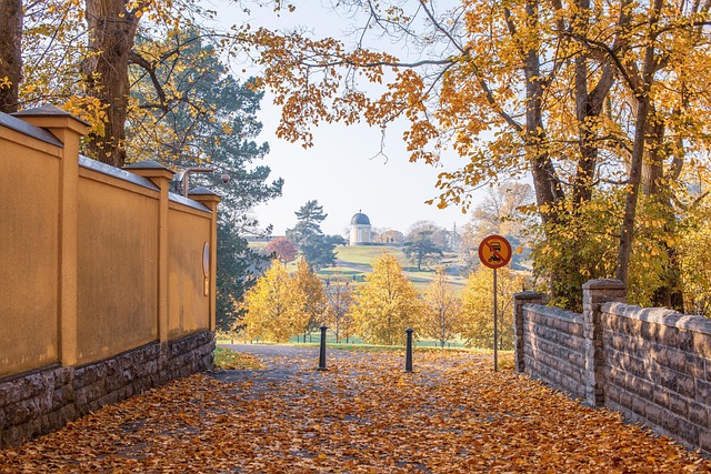 Val, Herfst, Bladeren, Kleurrijk