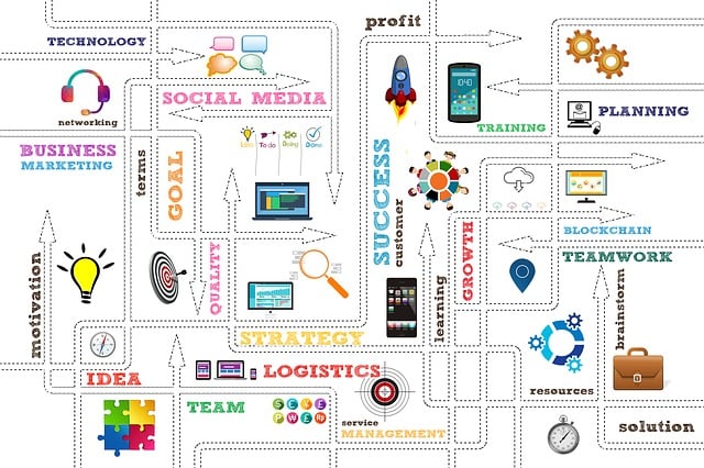 Startup, Business, Organisation