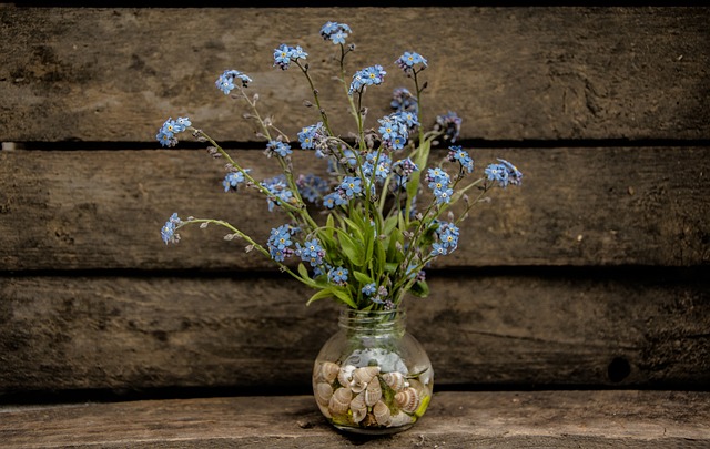 Free Nots Flowers photo and picture