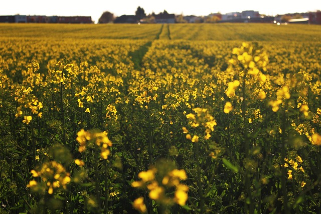 Free Way Spring photo and picture