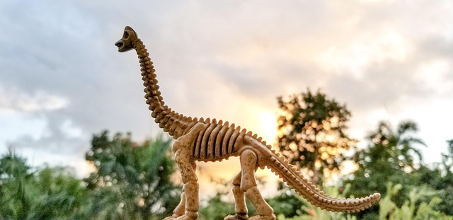 Free Toy Fossil Dinosaur Fossil photo and picture