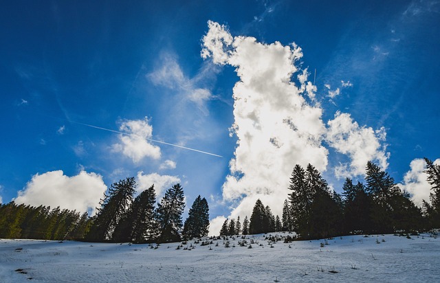 Himmel, Wolken, Landschaft, Wald, Schnee