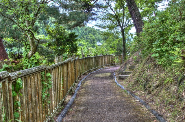 Free Park Green photo and picture