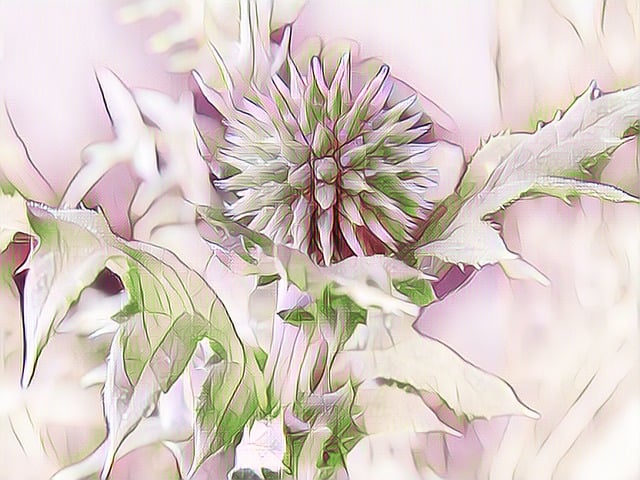 Free ball thistle digital painting pastel illustration