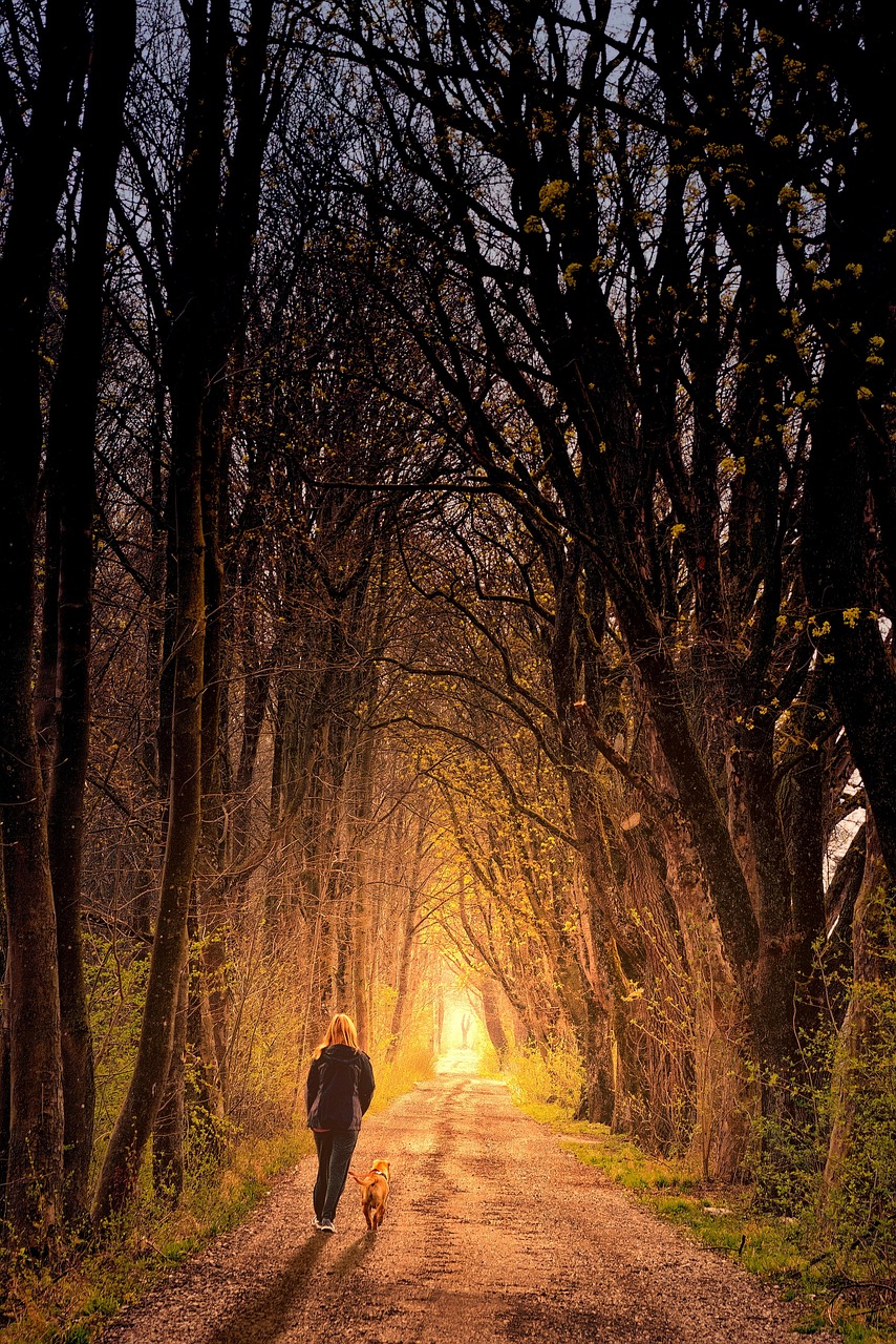 Path Light Person - Free photo on Pixabay