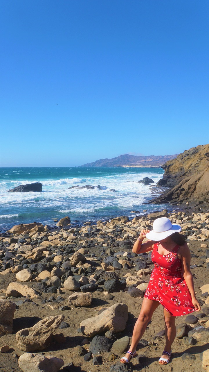 coast summer dresses 2019
