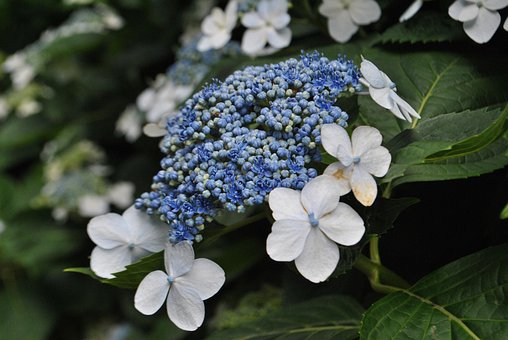 100以上の無料烟花 煙画像 100以上の無料烟花 煙画像