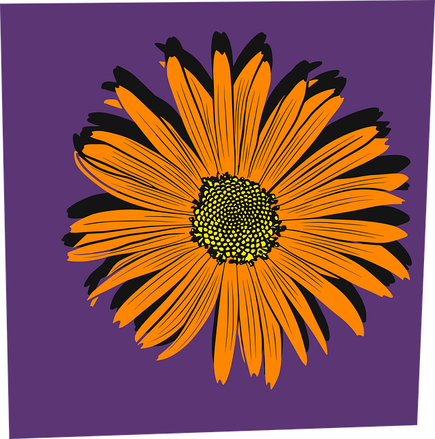 Blomst, Orange, Plante, Have, Natur