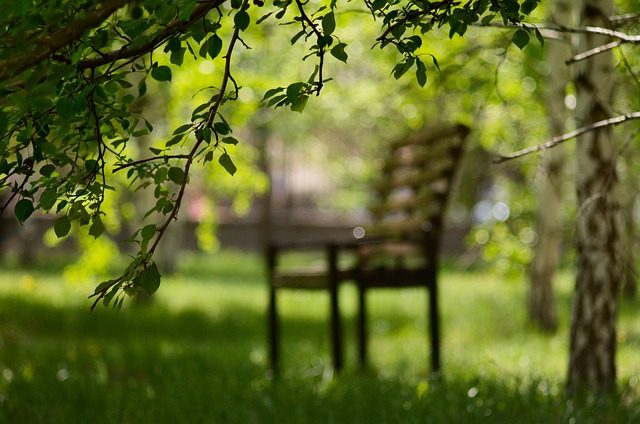 Free The Park Bench photo and picture