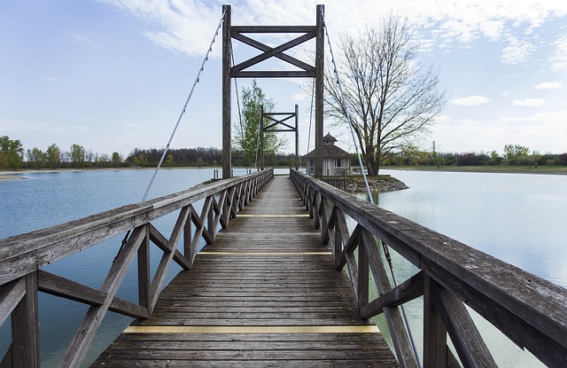 Free Web Lake photo and picture
