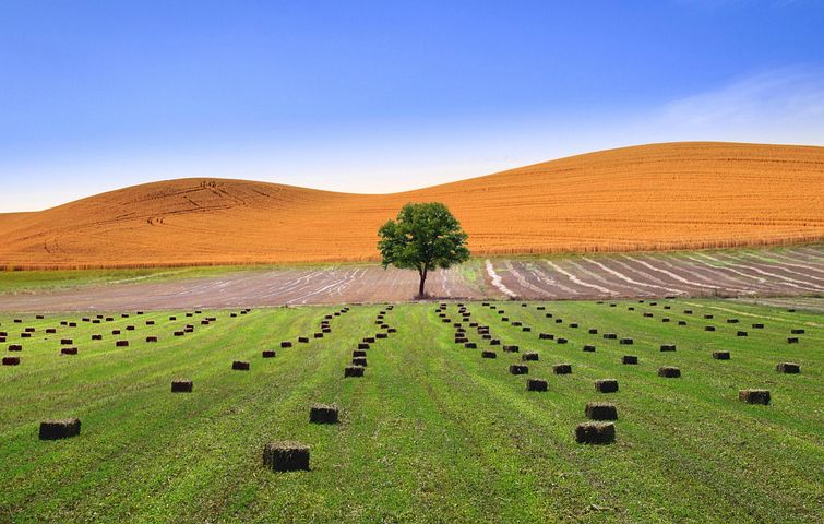 1,000+ Free Pathway & Path Images - Pixabay