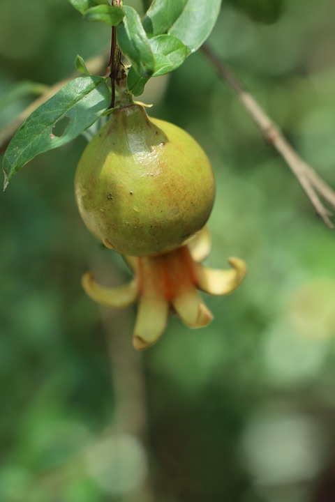 肏无毛嫩屄