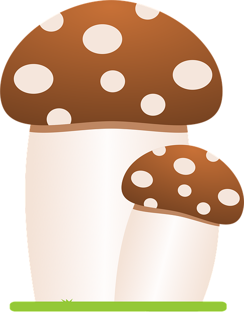 Free mushrooms mushroom forest vector