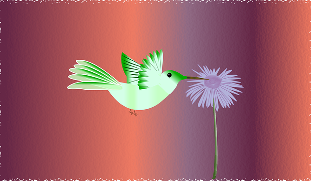 Free bird flower nature vector