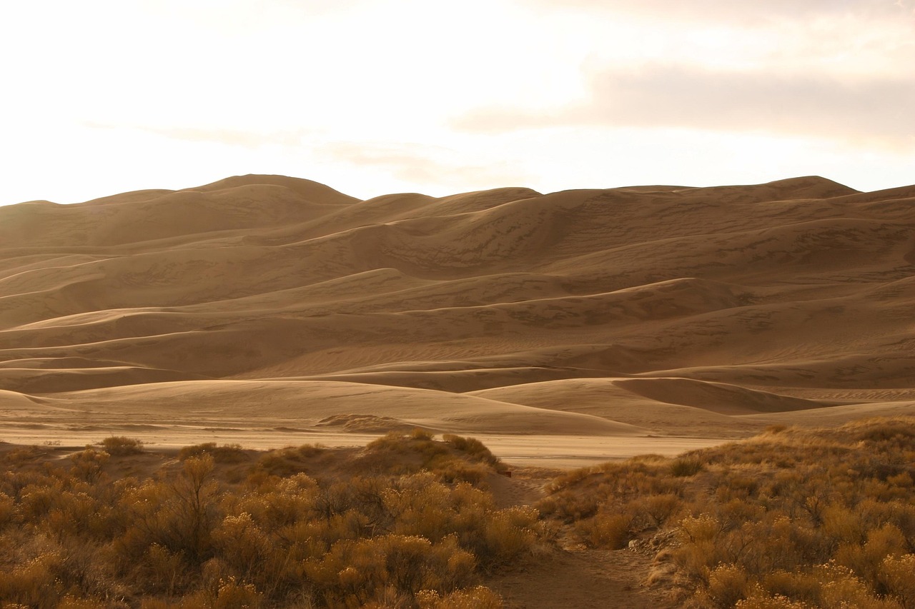 Free Sand Dunes photo and picture