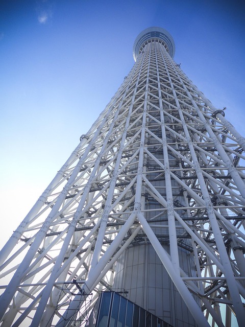 Free Japan Tokyo photo and picture