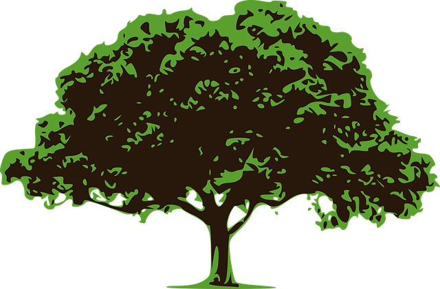 Free vector tree tree nature illustration