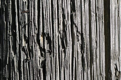 Free Wood Material photo and picture