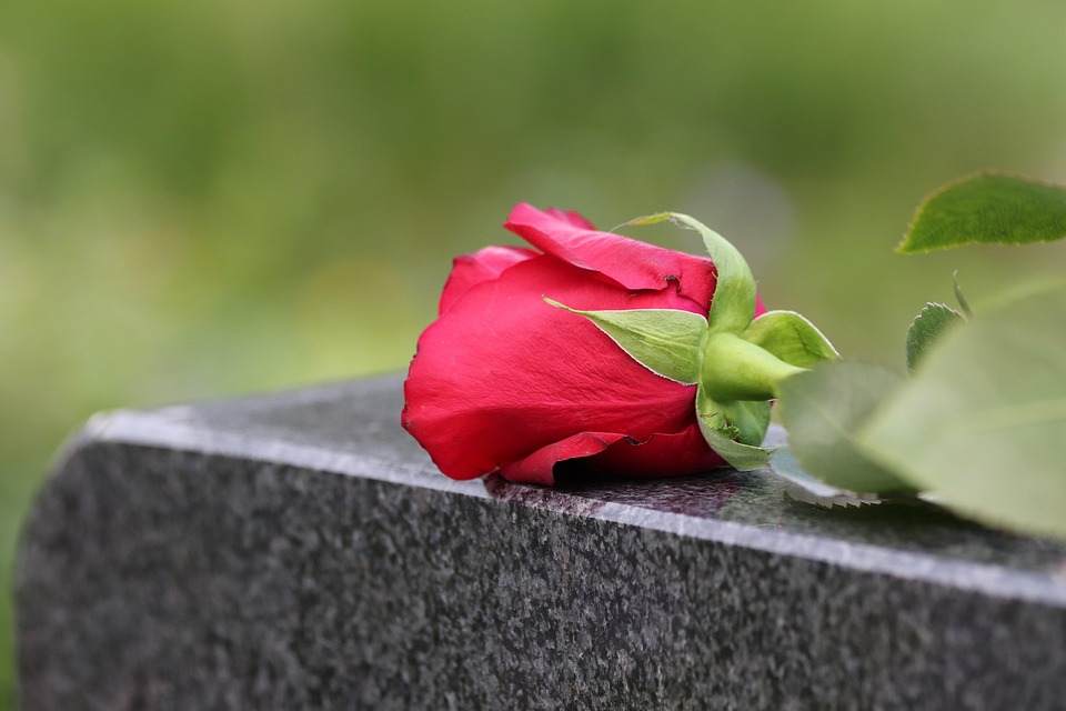 Remembering Johanna Leyden: A Life Celebrated in Clarecastle - Funeral Details & Tributes - News Directory 3