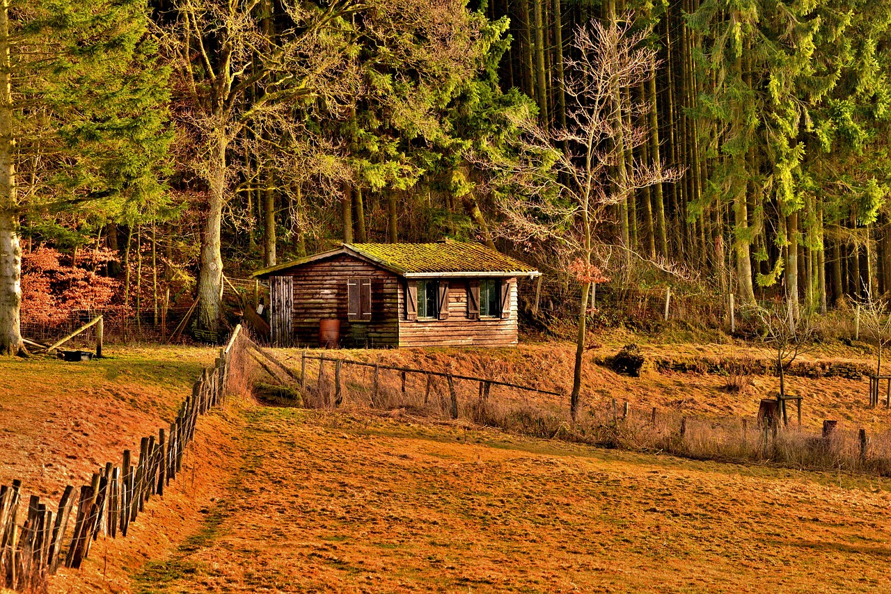 Boshuis - free online jigsaw puzzle photo