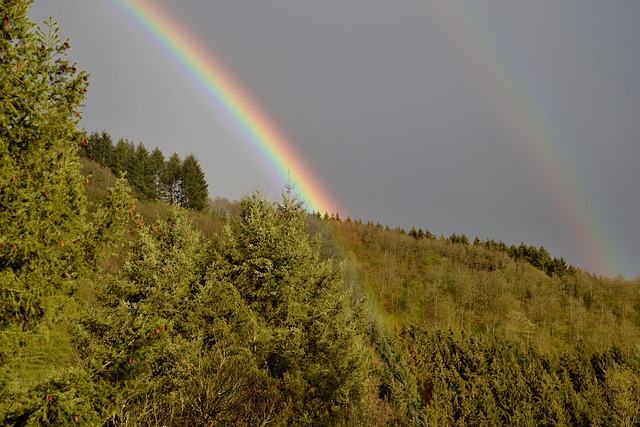Arc En Ciel Nature Paysage - Photo gratuite sur Pixabay - Pixabay